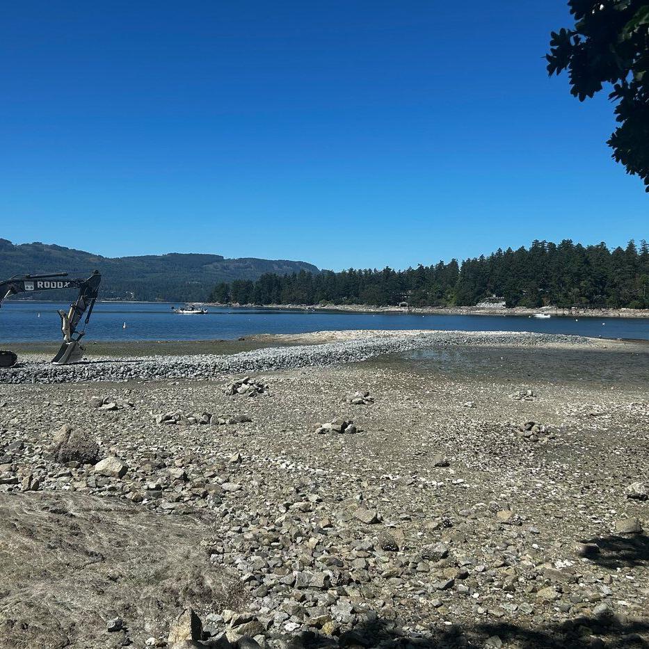 B.C. First Nation builds small island, fisheries officials check for habitat damage